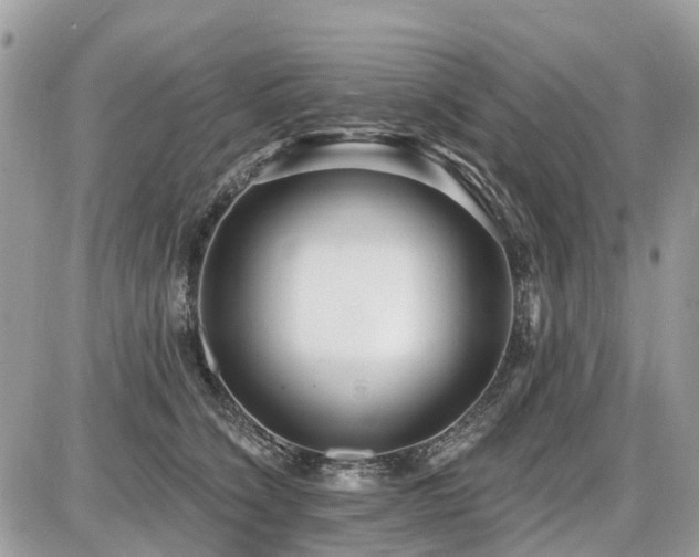 X0000086780564200704131217