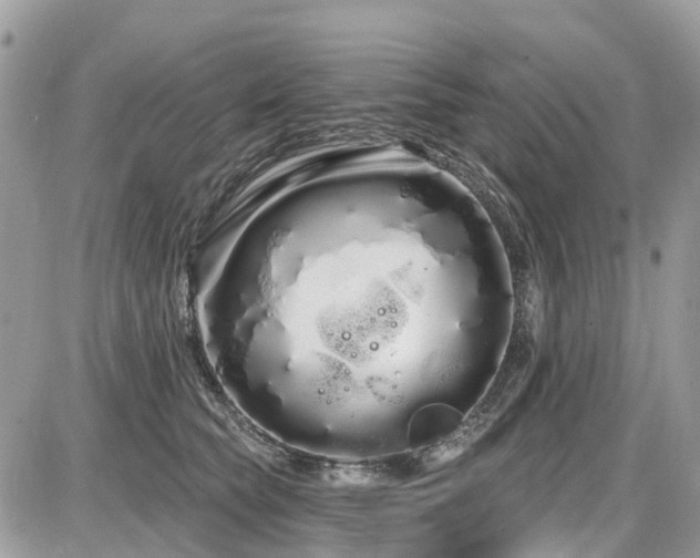 X0000086780565200704131217