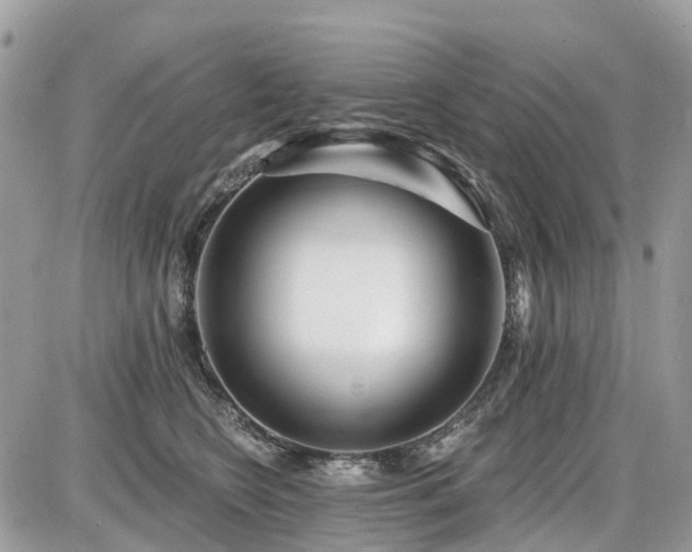 X0000086780566200704131217