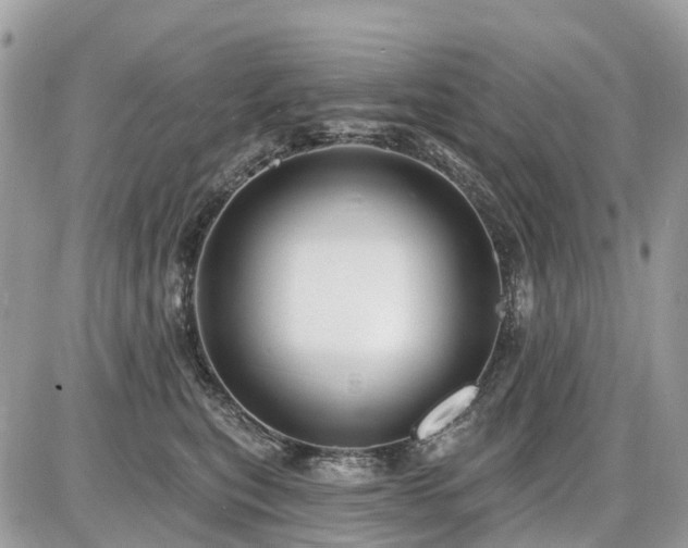 X0000086780567200704131217