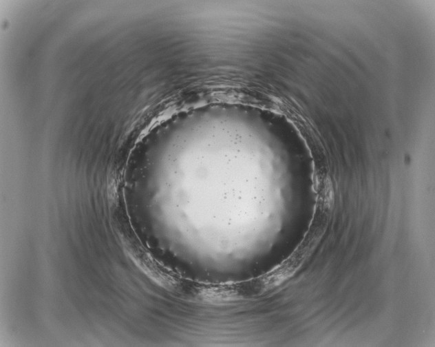 X0000086780568200704131217