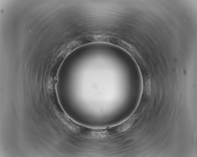 X0000086780571200704131217