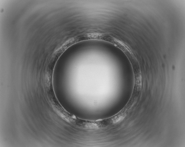 X0000086780572200704131217