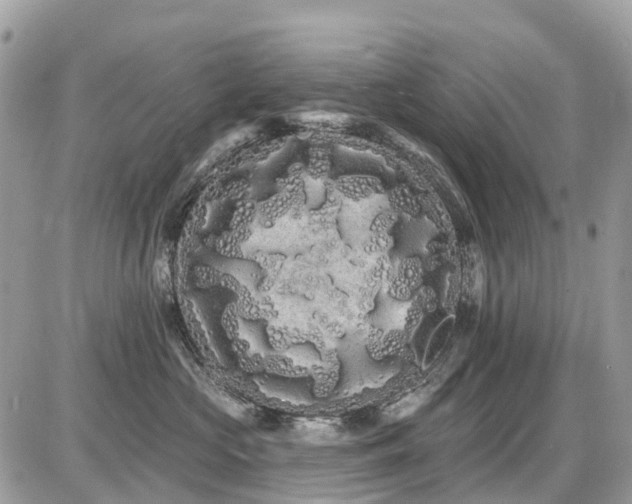 X0000086780573200704131217