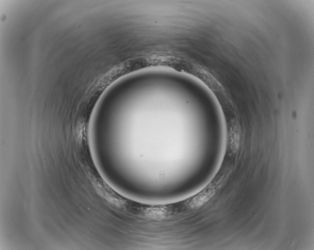 X0000086780574200704131217