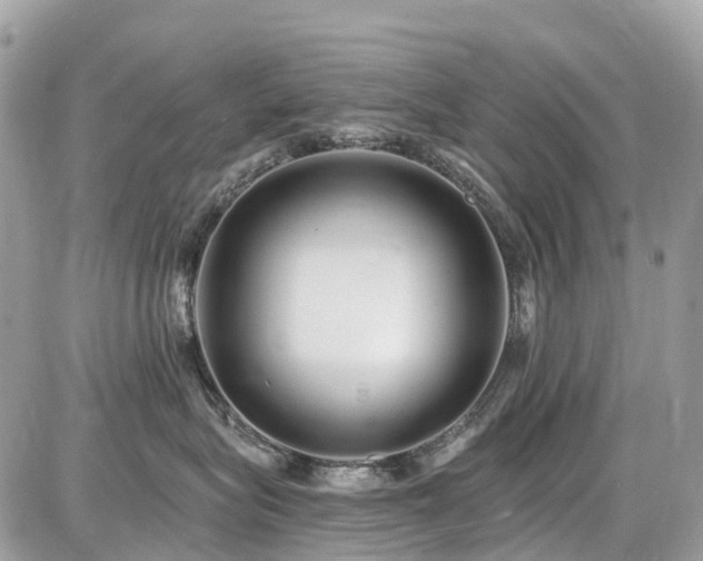 X0000086780575200704131217