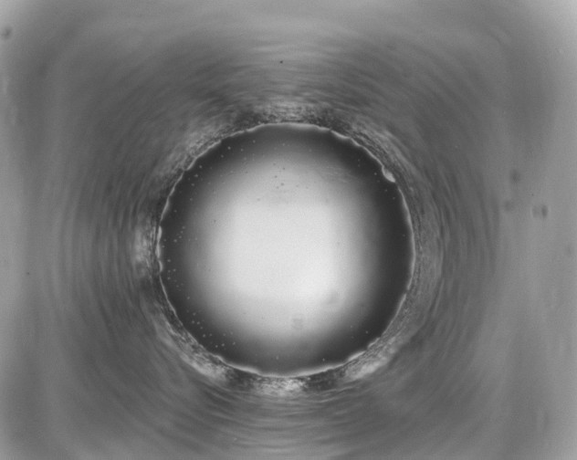 X0000086780576200704131217