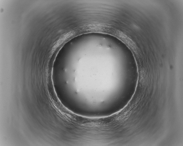 X0000086780578200704131216