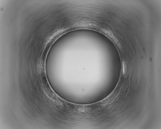 X0000086780579200704131216