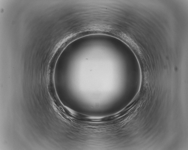 X0000086780580200704131216