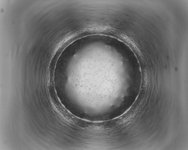 X0000086780582200704131216