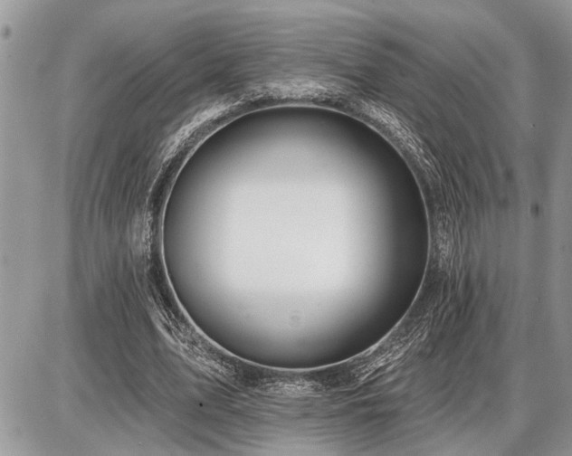 X0000086780583200704131216