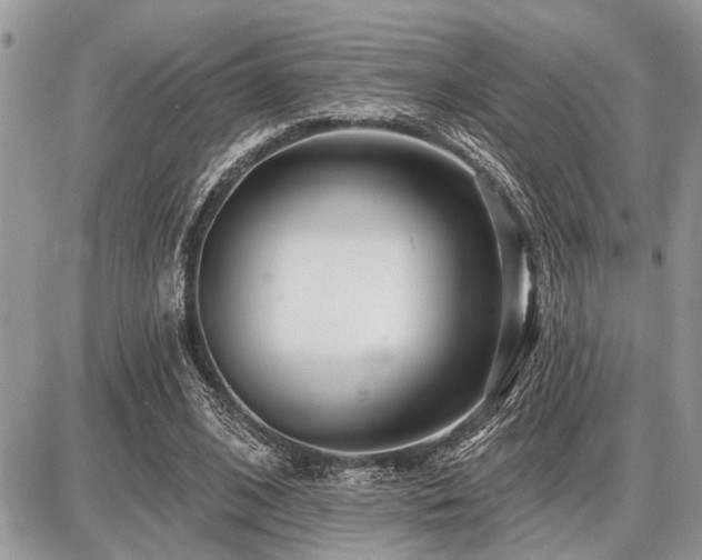 X0000086780584200704131216