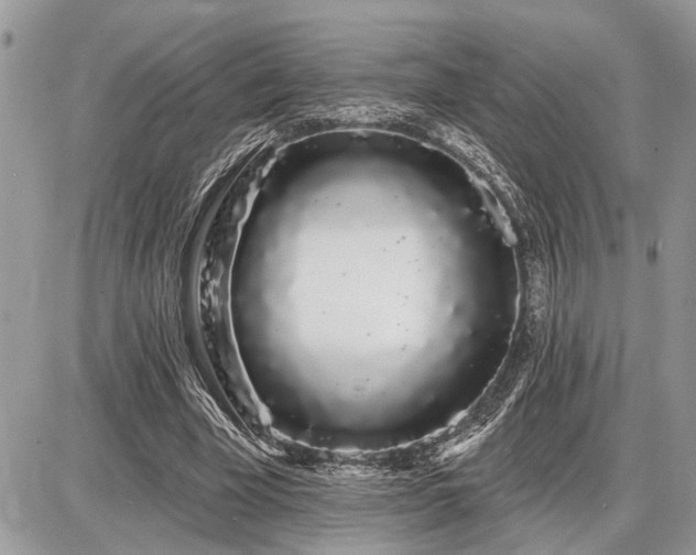 X0000086780585200704131216