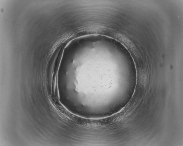 X0000086780586200704131216