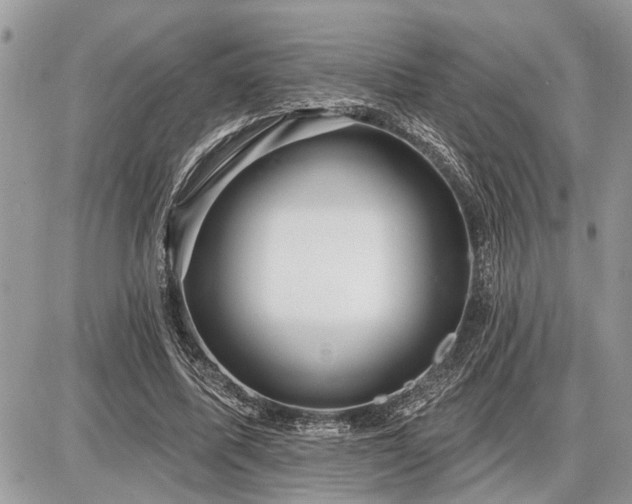 X0000086780587200704131216