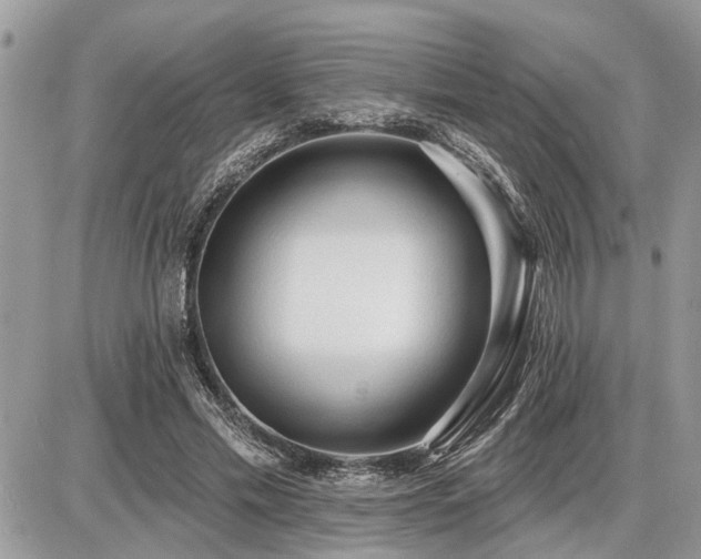 X0000086780589200704131216