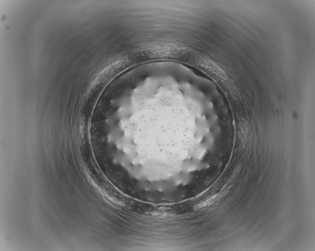 X0000086780590200704131216