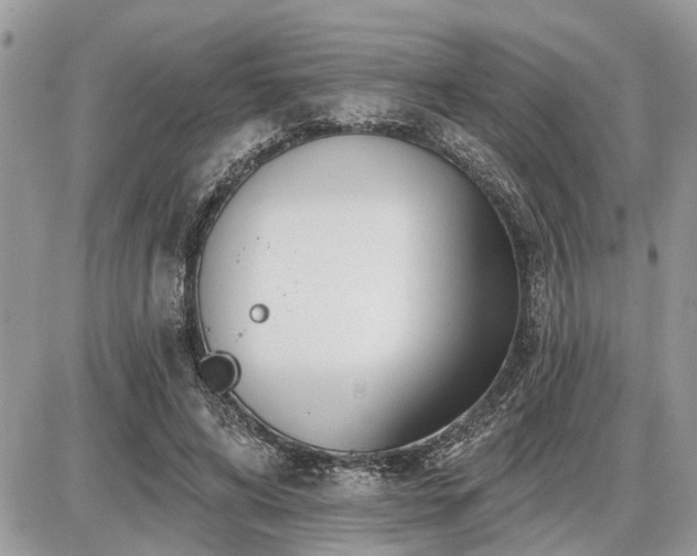 X0000086780592200704131216