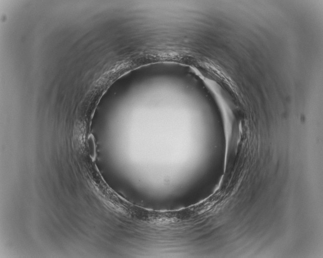 X0000086780593200704131216