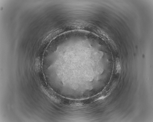 X0000086780594200704131216