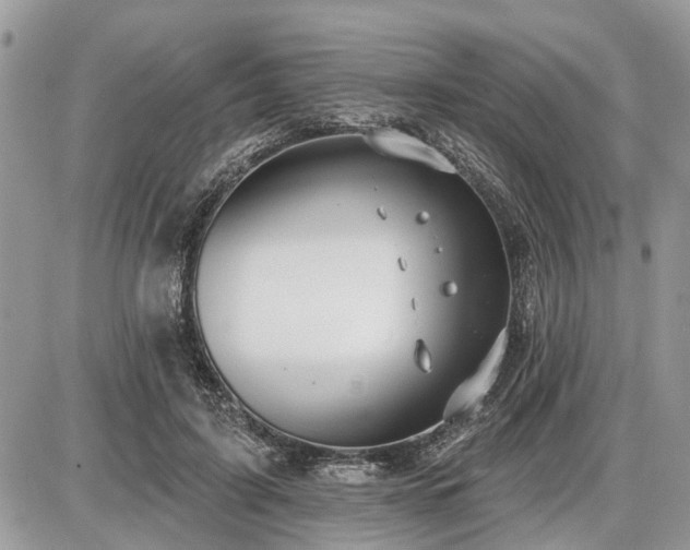 X0000086780595200704131216