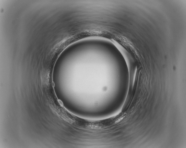 X0000086780596200704131216