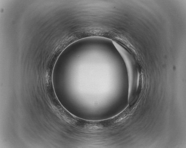 X0000086780597200704131216