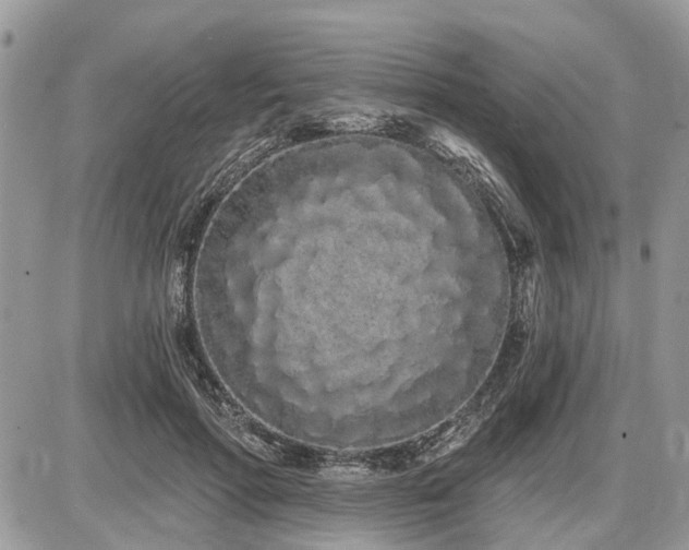 X0000086780598200704131216