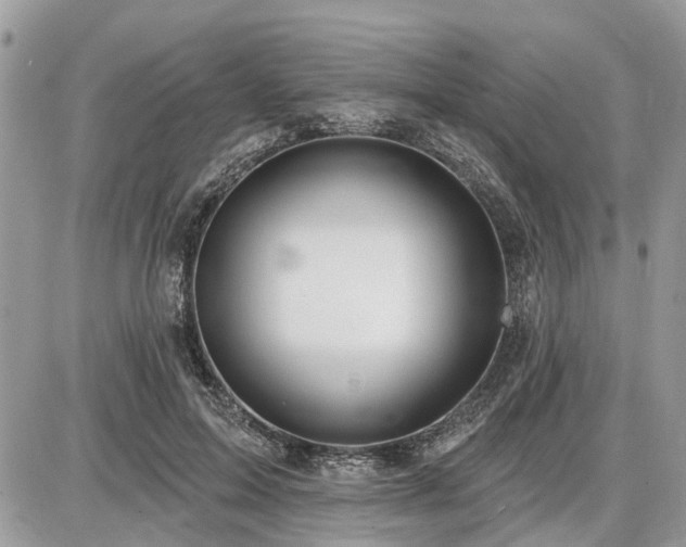 X0000086780599200704131216