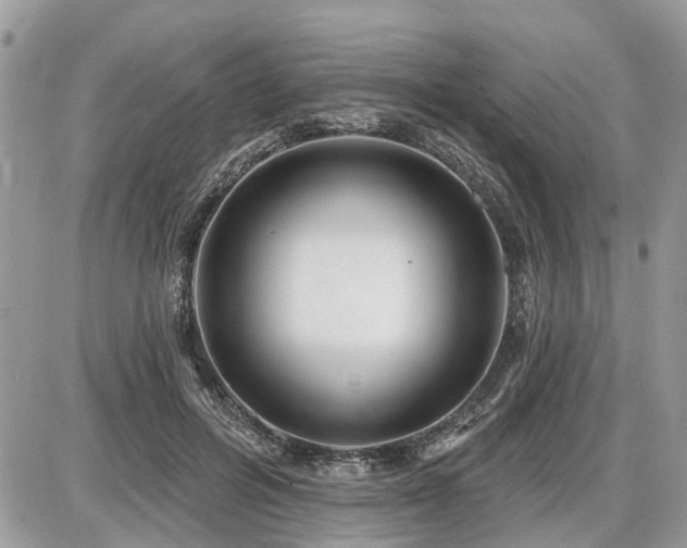 X0000086780600200704131216