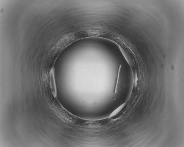 X0000086780601200704131216