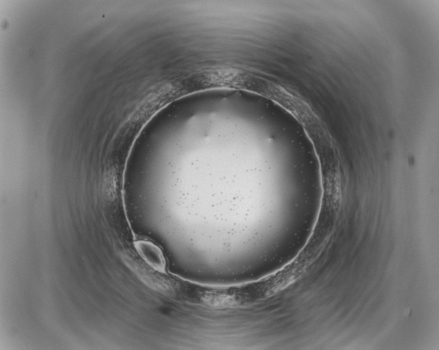 X0000086780602200704131216