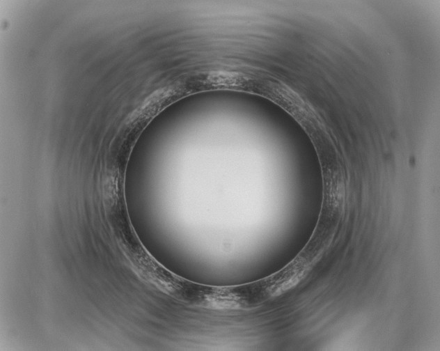 X0000086780603200704131216