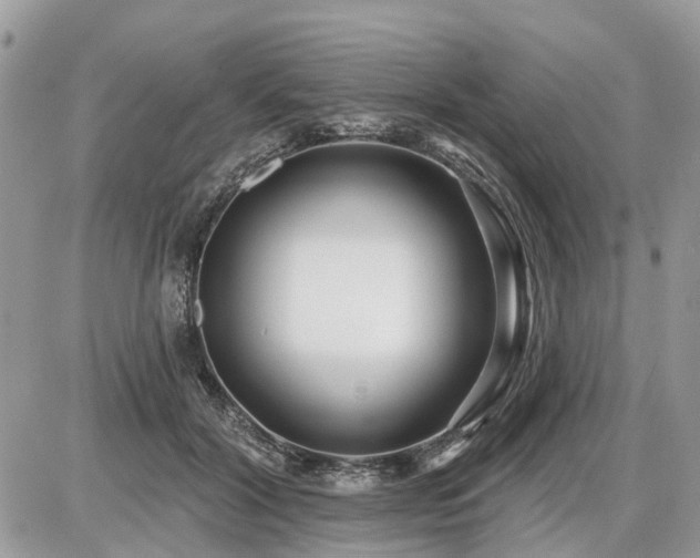 X0000086780604200704131216