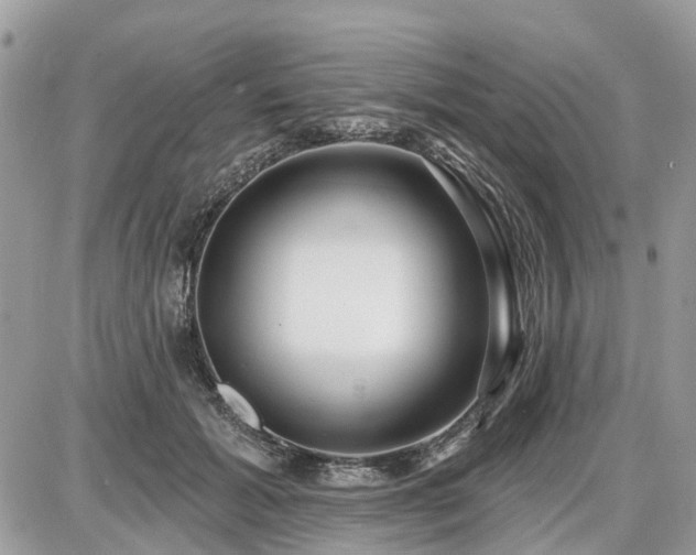 X0000086780605200704131216