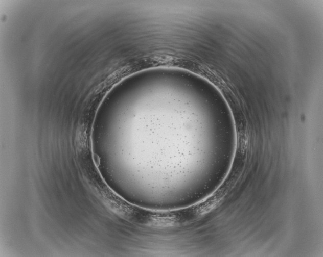 X0000086780606200704131216