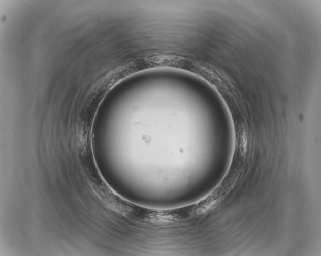 X0000086780607200704131216