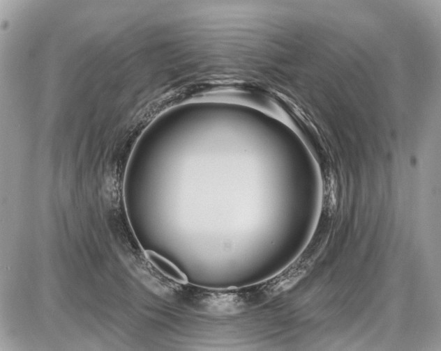 X0000086780609200704131216