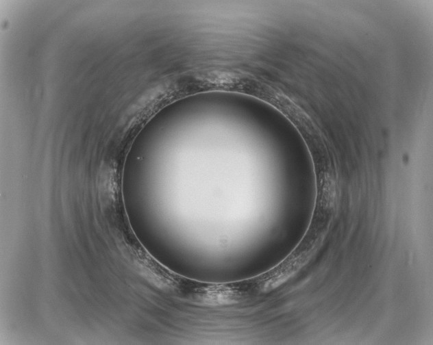 X0000086780612200704131216