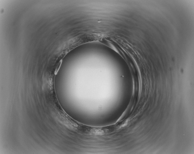 X0000086780613200704131216