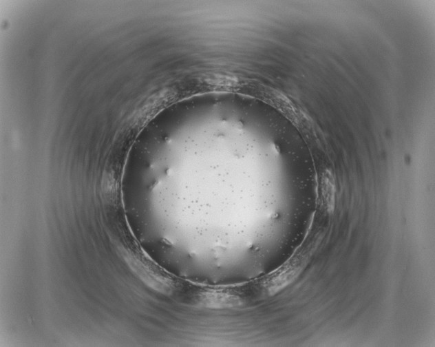 X0000086780614200704131216