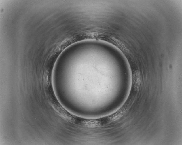 X0000086780615200704131216