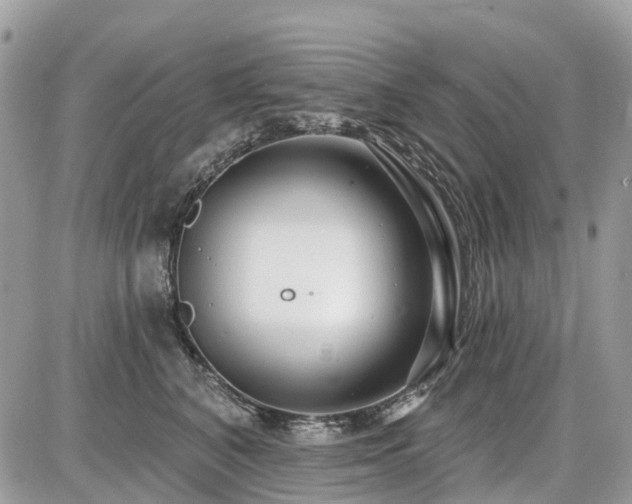 X0000086780616200704131216