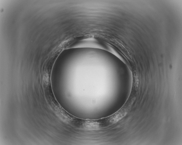 X0000086780617200704131216