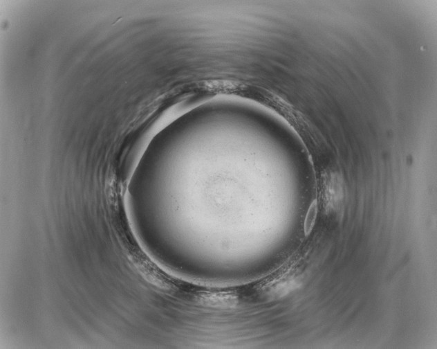 X0000086780619200704131216