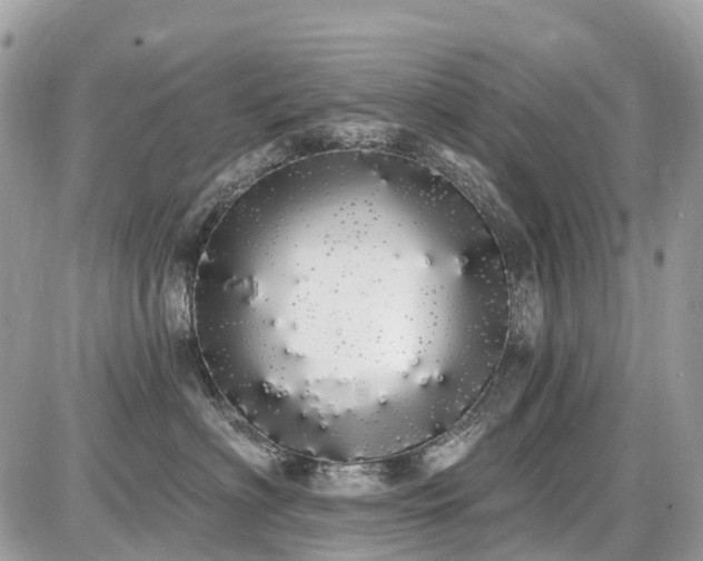 X0000086780622200704131216