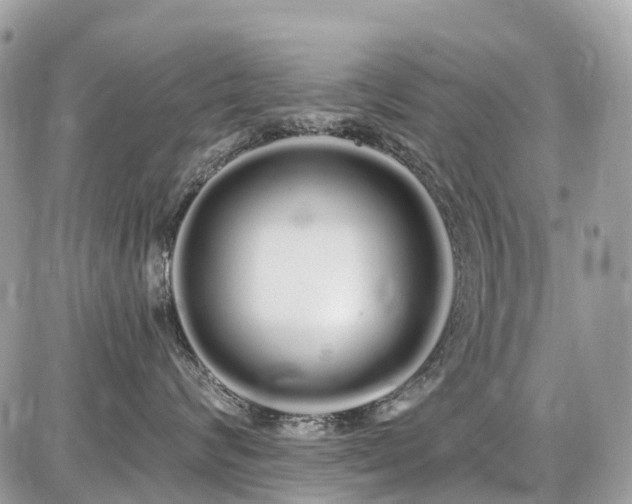 X0000086780624200704131216