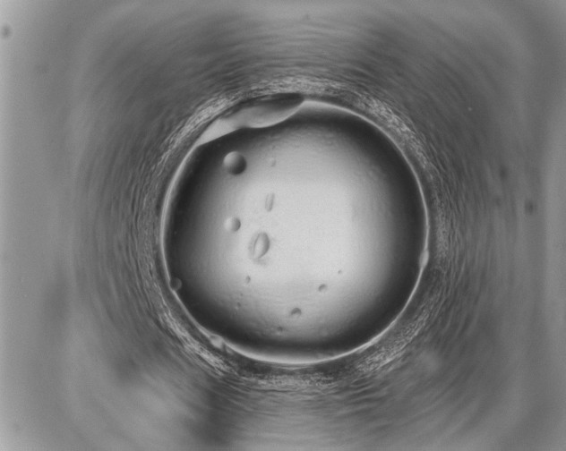 X0000086780625200704131215