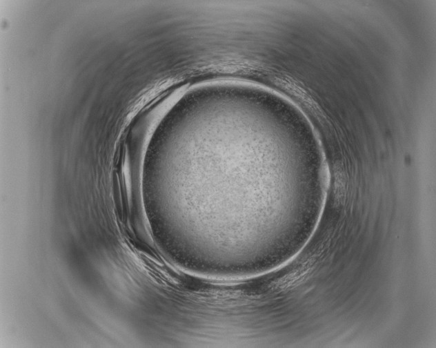 X0000086780626200704131215